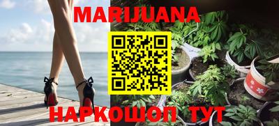 индика Ипатово