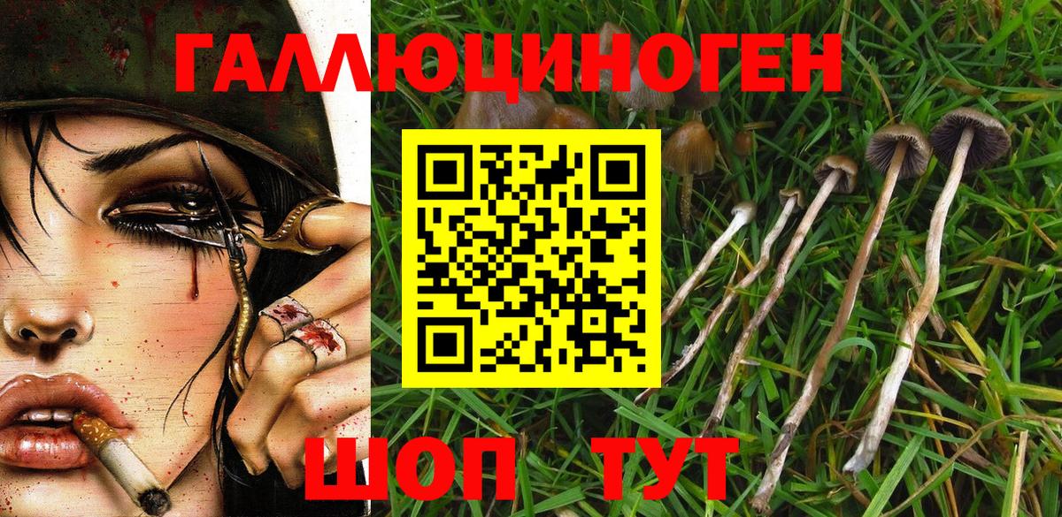 Псилоцибиновые грибы мицелий Лабытнанги